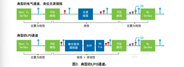 图片2.webp